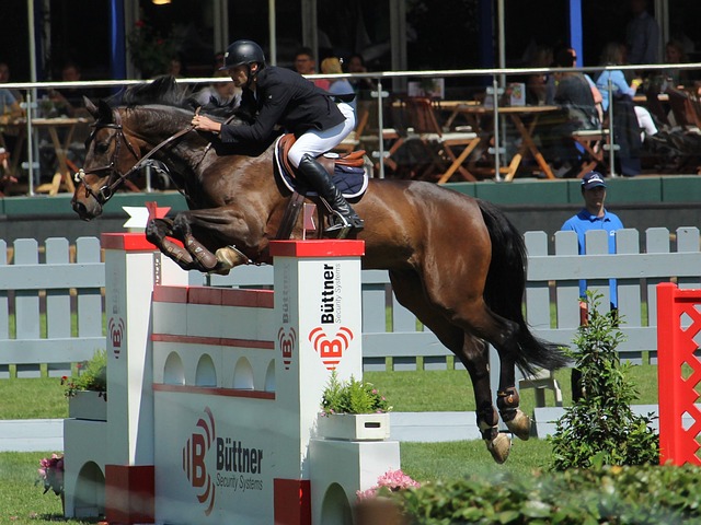 的一些关键 的一些关键