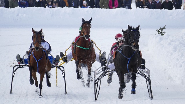 时间为尊 时间为尊