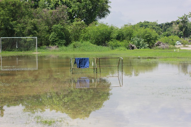 伍进入赛前 伍进入赛前