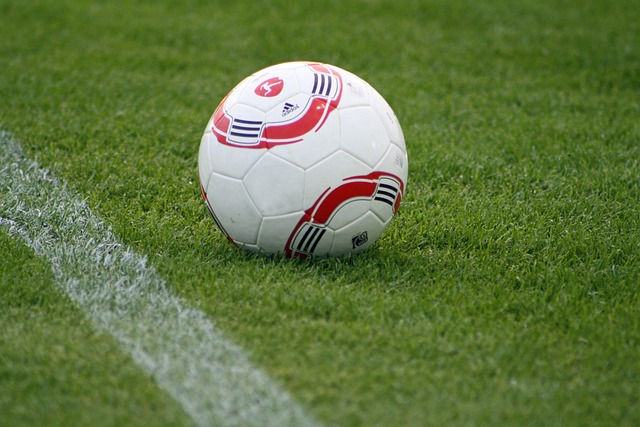 仅带来身体 仅带来身体