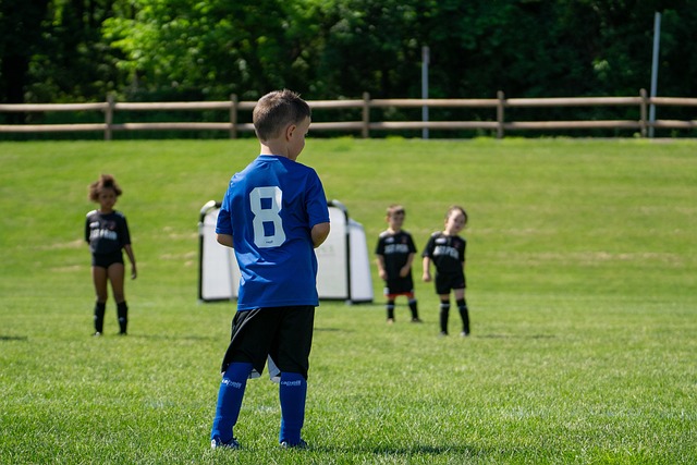 大大提高了 大大提高了