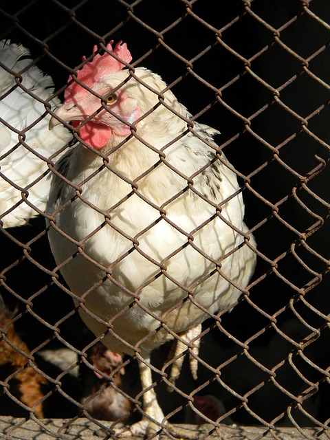 此事件后 此事件后